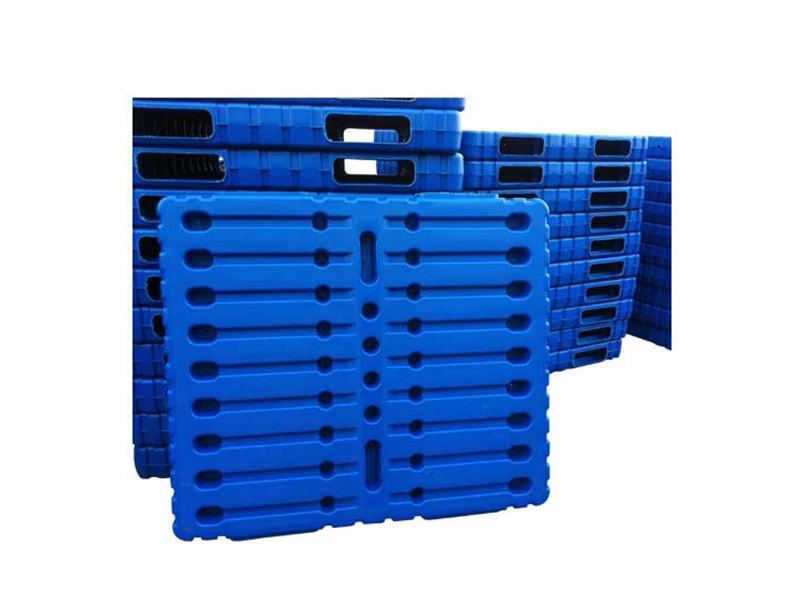 Paleta